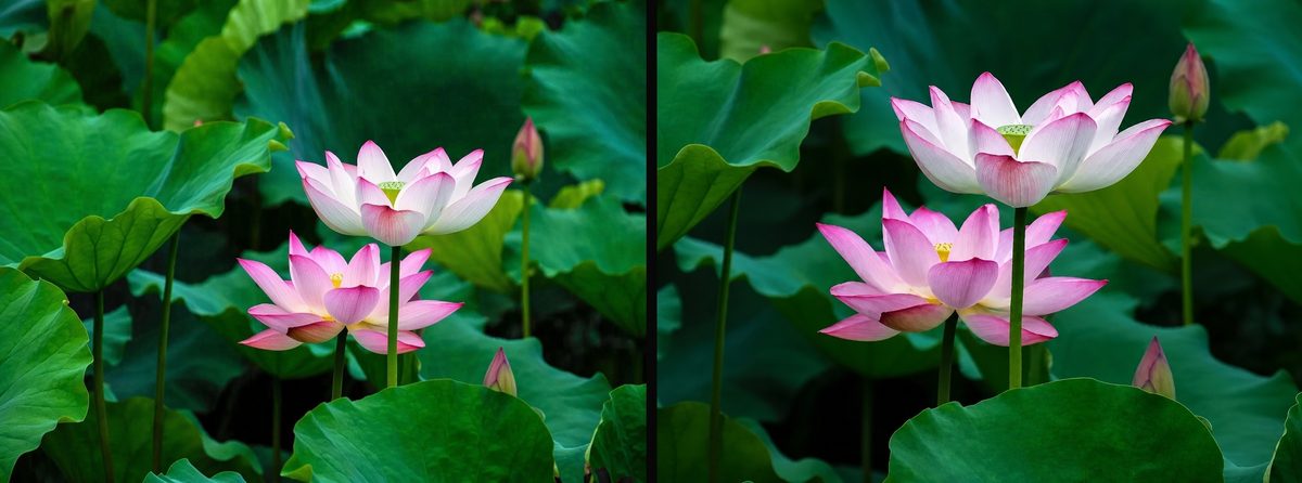 Photographer-side guidance showcase 27