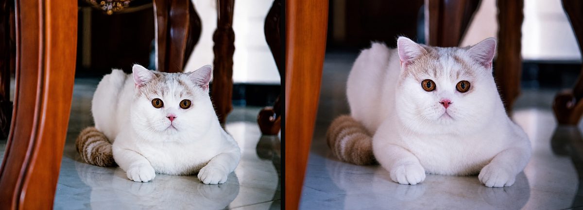 Photographer-side guidance showcase 32