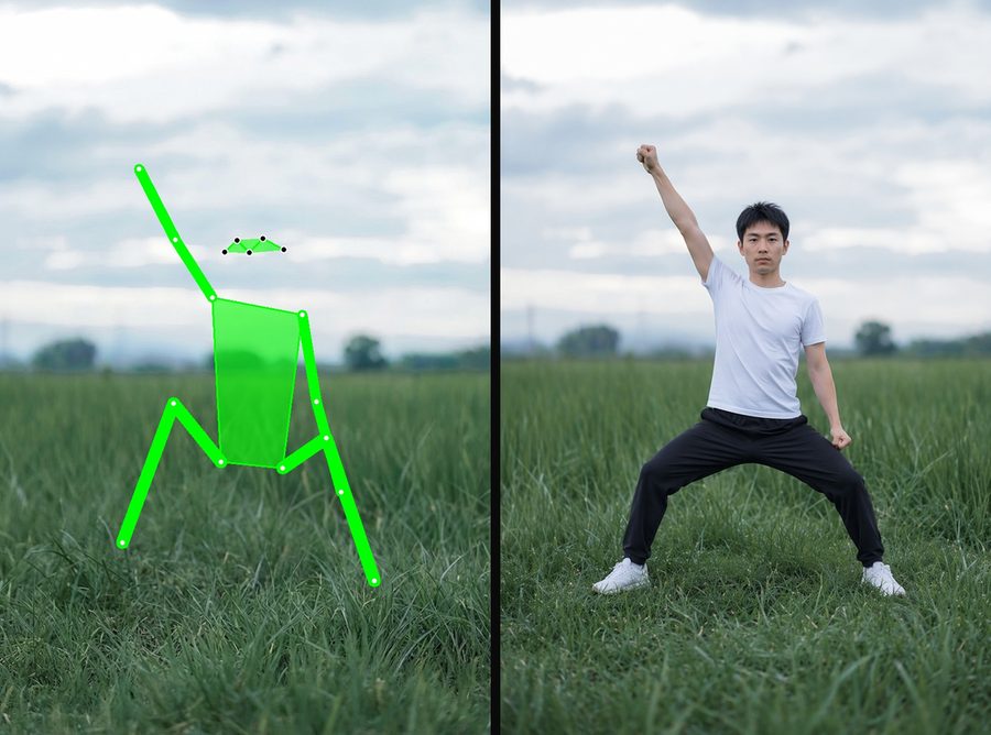 Subject-side pose guidance showcase 12